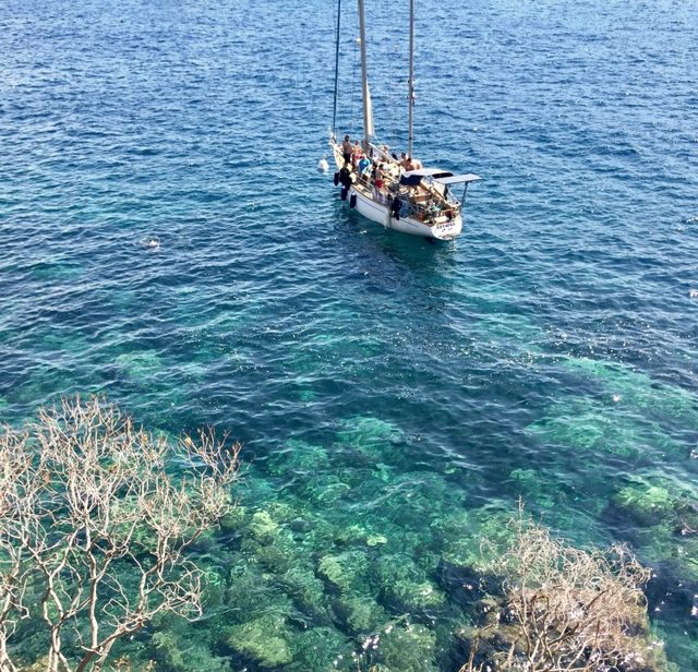 Segelboot auf t&uuml;rkisem Wasser, von oben durch kahle Zweige gesehen