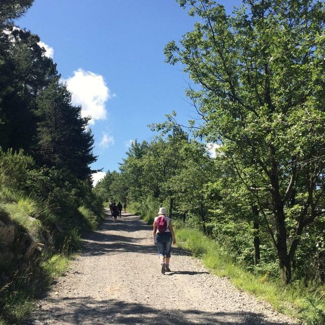 Wanderin auf einem breiten Schotterweg zwischen B&auml;umen