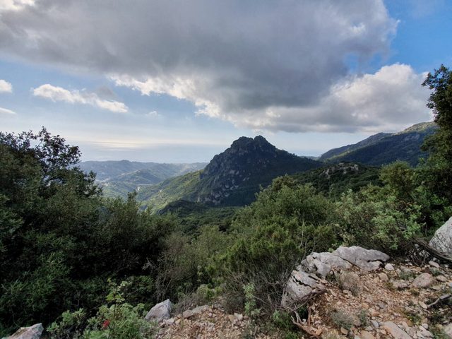Buschiger Hang mit Felsen, dahinter Berggipfel unter Wolken